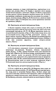 Практикум по русскому языку для старшеклассников и абитуриентов